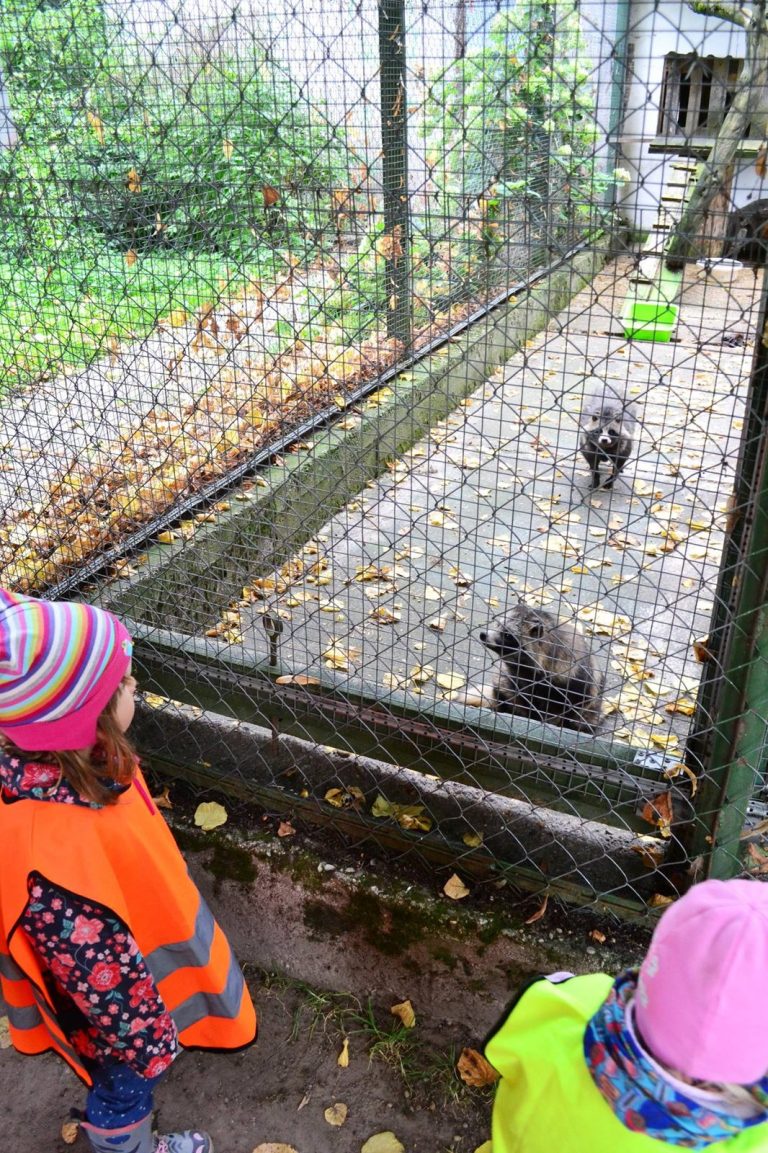 Akimirka iš Apelsinų pievos darželio gyvenimo