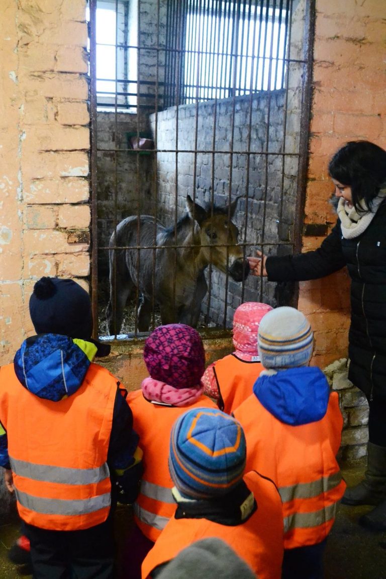 Akimirka iš Apelsinų pievos darželio gyvenimo