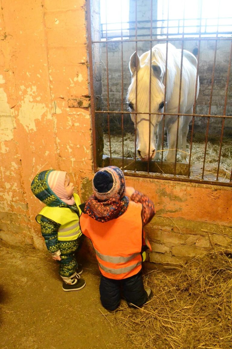 Akimirka iš Apelsinų pievos darželio gyvenimo